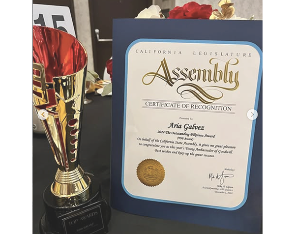 Young Ambassador of Goodwill 
2020 and 2024 (TOP awards)